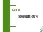 7.1.2 昆虫的生殖和发育（课件带教案学案同步作业）2022-2023学年八年级下册生物同步备课系列（人教版）