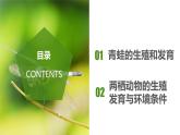 7.1.3 两栖动物的生殖和发育（课件带教案学案同步作业）2022-2023学年八年级下册生物同步备课系列（人教版）