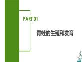 7.1.3 两栖动物的生殖和发育（课件带教案学案同步作业）2022-2023学年八年级下册生物同步备课系列（人教版）