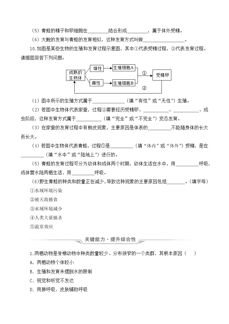 7.1.3 两栖动物的生殖和发育（课件带教案学案同步作业）2022-2023学年八年级下册生物同步备课系列（人教版）03