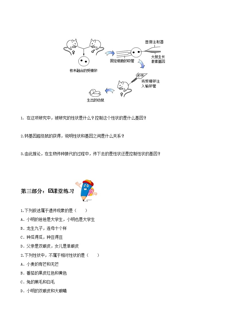 7.2.1 基因控制生物的性状（课件带教案学案同步作业） 八年级下册生物同步备课系列（人教版）02