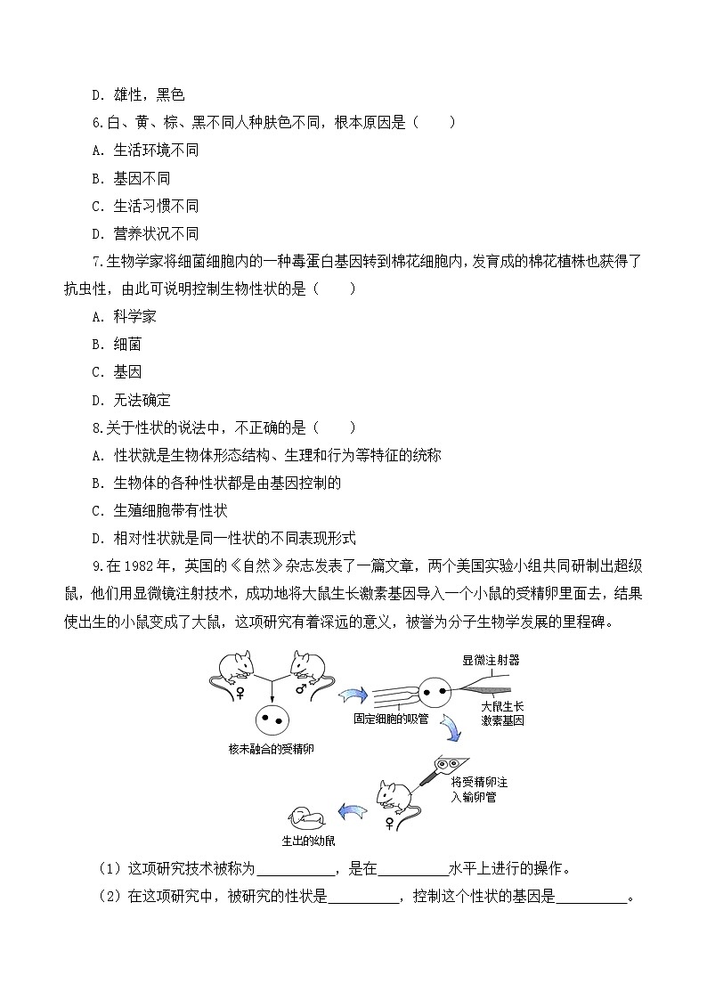 7.2.1 基因控制生物的性状（课件带教案学案同步作业） 八年级下册生物同步备课系列（人教版）02