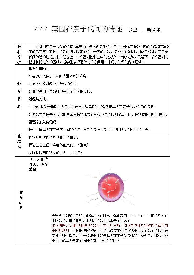 7.2.2 基因在亲子代间的传递（课件带教案学案同步作业） 八年级下册生物同步备课系列（人教版）01