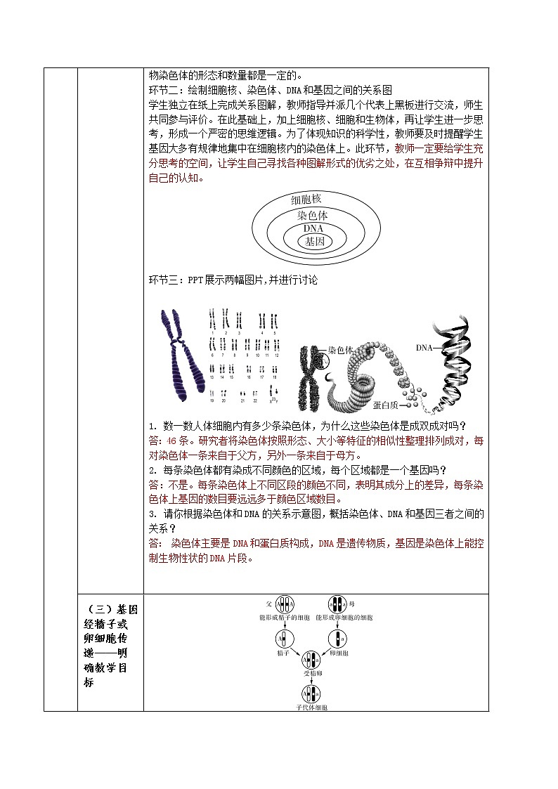 7.2.2 基因在亲子代间的传递（课件带教案学案同步作业） 八年级下册生物同步备课系列（人教版）03