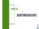 7.2.3 基因的显性和隐性（课件带教案学案同步作业）2022-2023学年八年级下册生物同步备课系列（人教版）