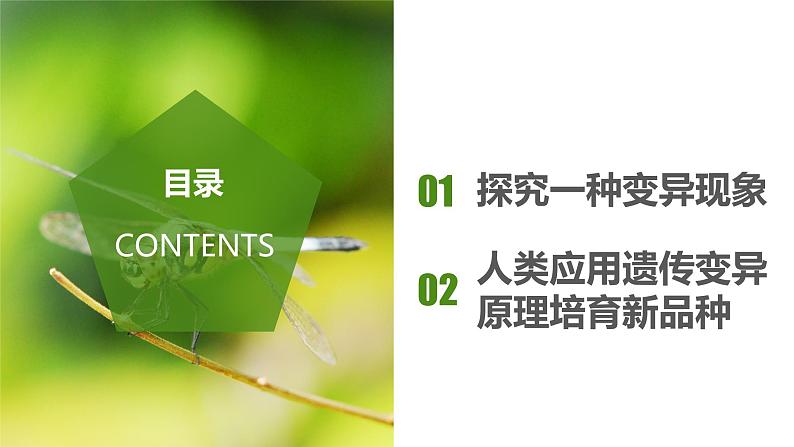 7.2.5 生物的变异（课件带教案学案同步作业）2022-2023学年八年级下册生物同步备课系列（人教版）02