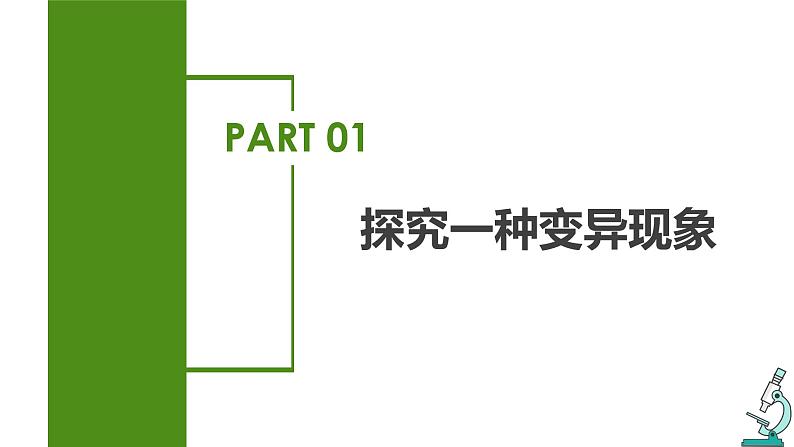 7.2.5 生物的变异（课件带教案学案同步作业）2022-2023学年八年级下册生物同步备课系列（人教版）06