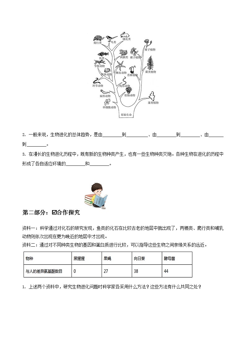 7.3.2 生物进化的历程（课件带教案学案同步作业）2022-2023学年八年级下册生物同步备课系列（人教版）02