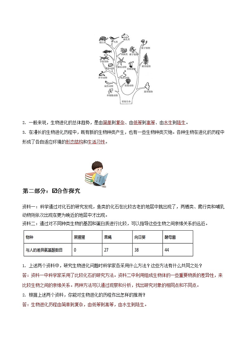 7.3.2 生物进化的历程（课件带教案学案同步作业）2022-2023学年八年级下册生物同步备课系列（人教版）02