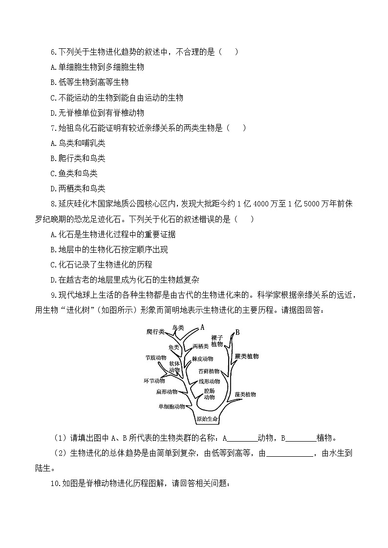 7.3.2 生物进化的历程（课件带教案学案同步作业）2022-2023学年八年级下册生物同步备课系列（人教版）02