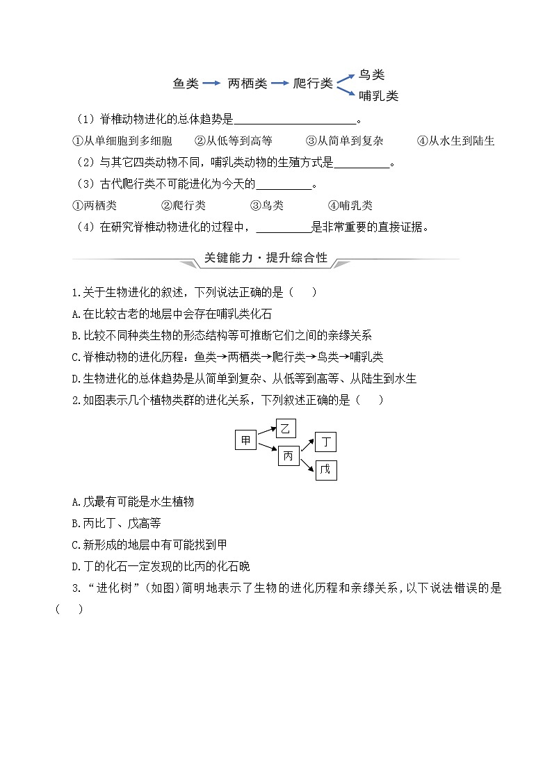 7.3.2 生物进化的历程（课件带教案学案同步作业）2022-2023学年八年级下册生物同步备课系列（人教版）03