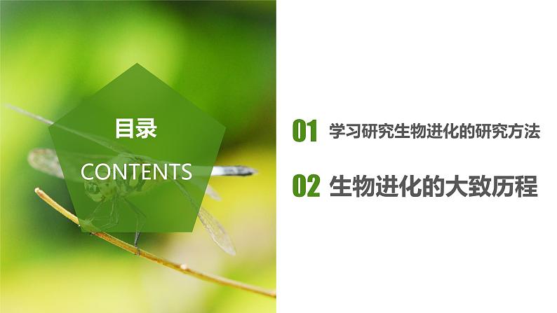 7.3.2 生物进化的历程（课件带教案学案同步作业）2022-2023学年八年级下册生物同步备课系列（人教版）02