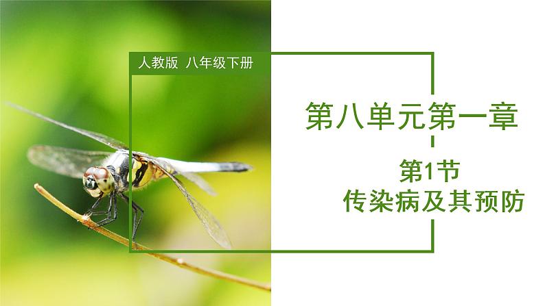 8.1.1+传染病及其预防（课件带教案学案同步作业）2022-2023学年八年级下册生物同步备课系列（人教版）01