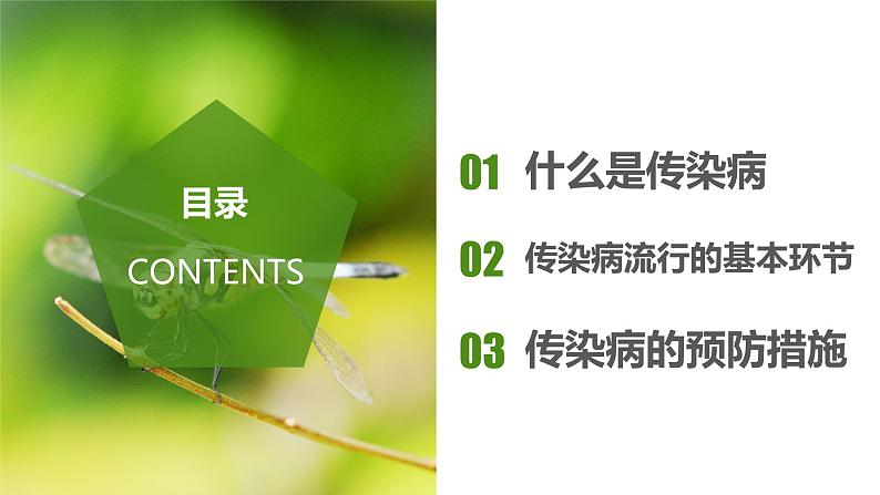 8.1.1+传染病及其预防（课件带教案学案同步作业）2022-2023学年八年级下册生物同步备课系列（人教版）02