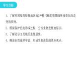 人教版八年级生物下册第三节生物进化的原因课件