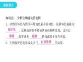 人教版八年级生物下册第三节生物进化的原因课件