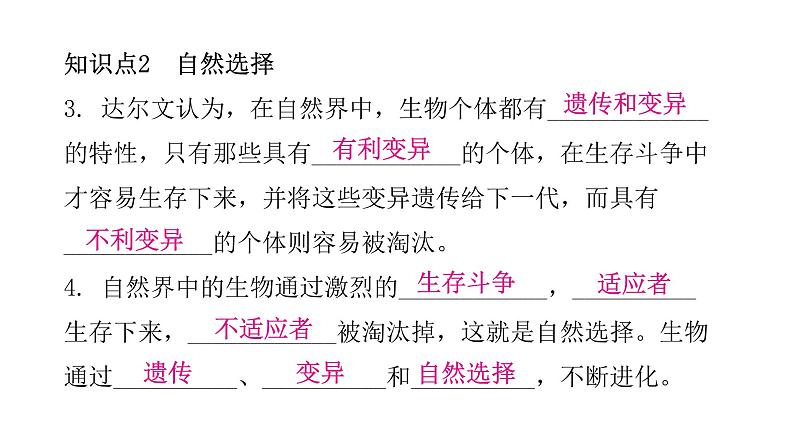 人教版八年级生物下册第三节生物进化的原因课件06