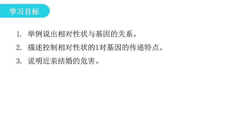 人教版八年级生物下册第三节基因的显性和隐性课件第4页