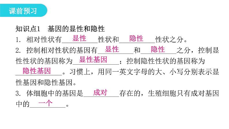 人教版八年级生物下册第三节基因的显性和隐性课件第5页