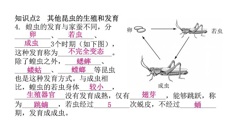 人教版八年级生物下册第二节昆虫的生殖和发育课件第7页