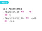 人教版八年级生物下册第三节两栖动物的生殖和发育课件