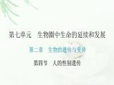 人教版八年级生物下册第四节人的性别遗传课件
