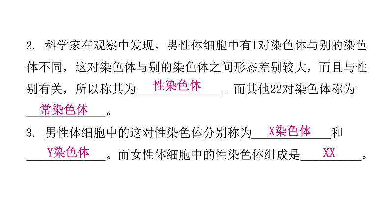 人教版八年级生物下册第四节人的性别遗传课件第6页