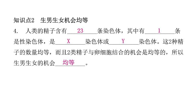 人教版八年级生物下册第四节人的性别遗传课件第7页