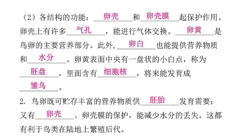 人教版八年级生物下册第四节鸟的生殖和发育课件06