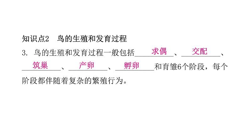 人教版八年级生物下册第四节鸟的生殖和发育课件07