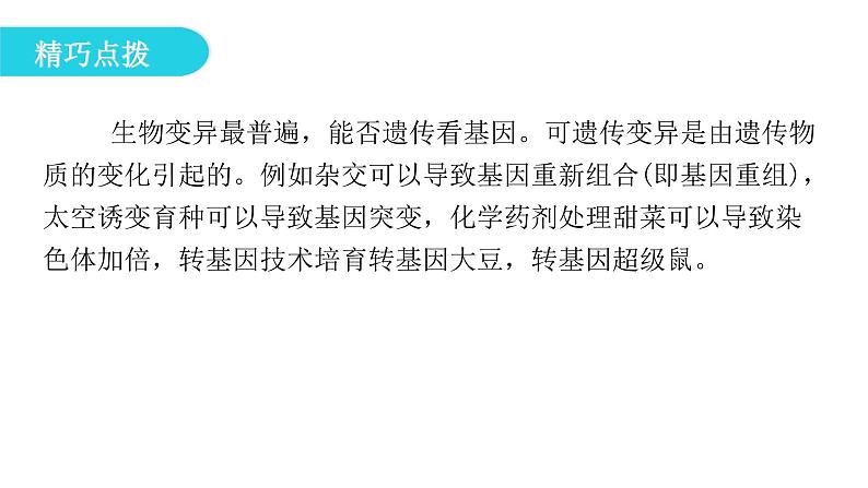 人教版八年级生物下册第五节生物的变异课件第8页