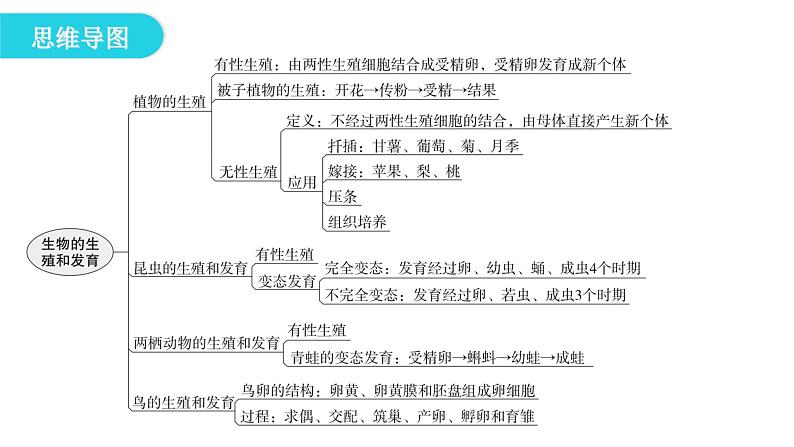 人教版八年级生物下册第七单元第一章章末总结课件第4页