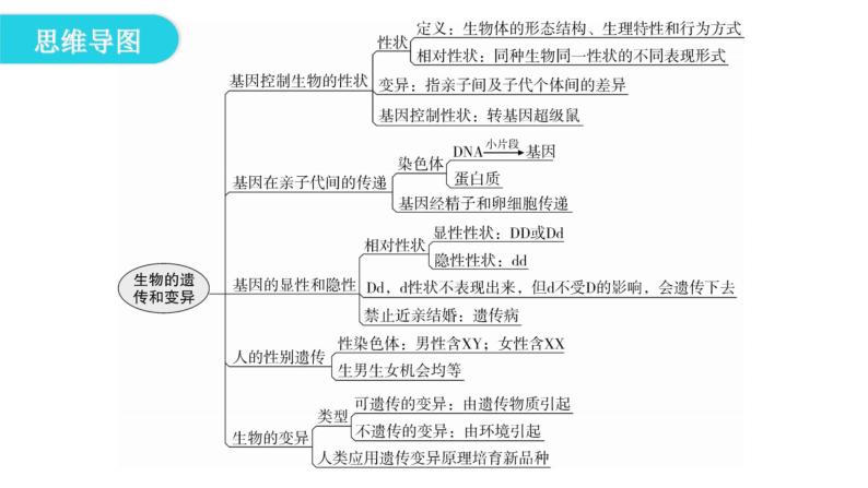 人教版八年级生物下册第七单元第二章章末总结课件04