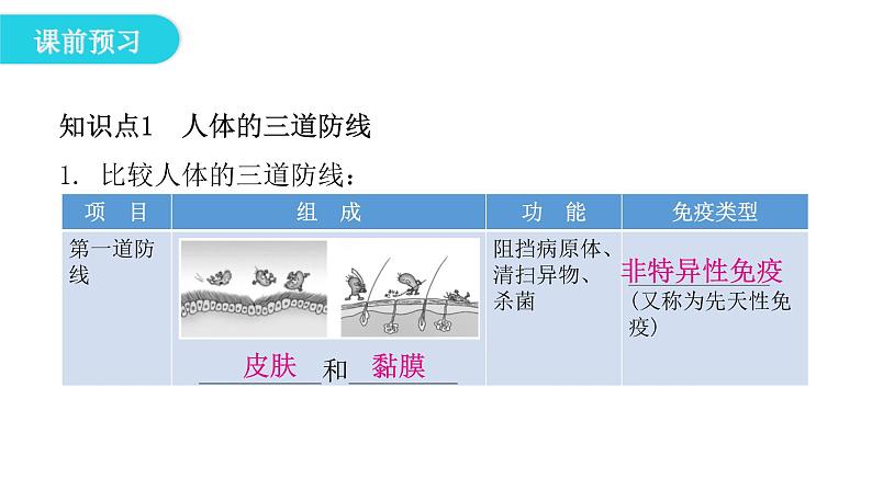 人教版八年级生物下册第二节免疫与计划免疫课件05