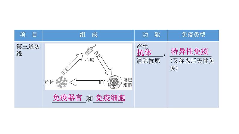 人教版八年级生物下册第二节免疫与计划免疫课件07