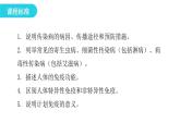 人教版八年级生物下册第八单元第一章章末总结课件