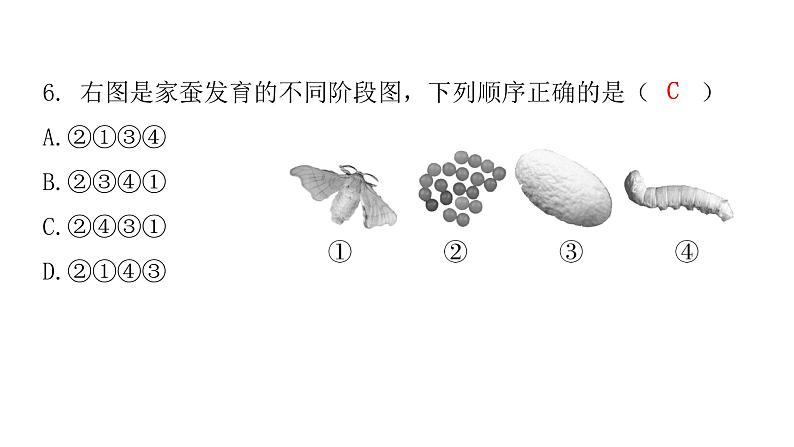 人教版八年级生物下册第七单元水平测试卷课件第8页