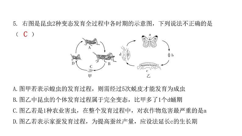 人教版八年级生物下册期中水平测试卷课件第7页