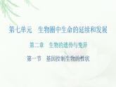 人教版八年级生物下册第一节基因控制生物的性状课后作业课件