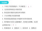 人教版八年级生物下册第一节基因控制生物的性状课后作业课件