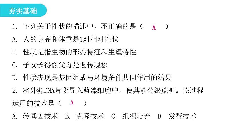 人教版八年级生物下册第一节基因控制生物的性状课后作业课件04