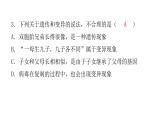 人教版八年级生物下册第一节基因控制生物的性状课后作业课件