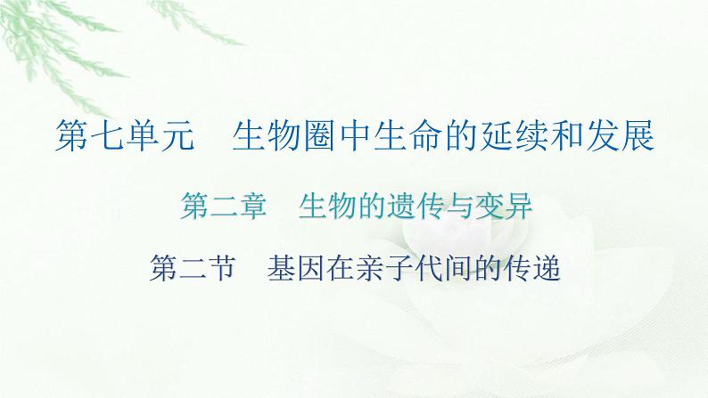 人教版八年级生物下册第二节基因在亲子代间的传递课后作业课件第2页