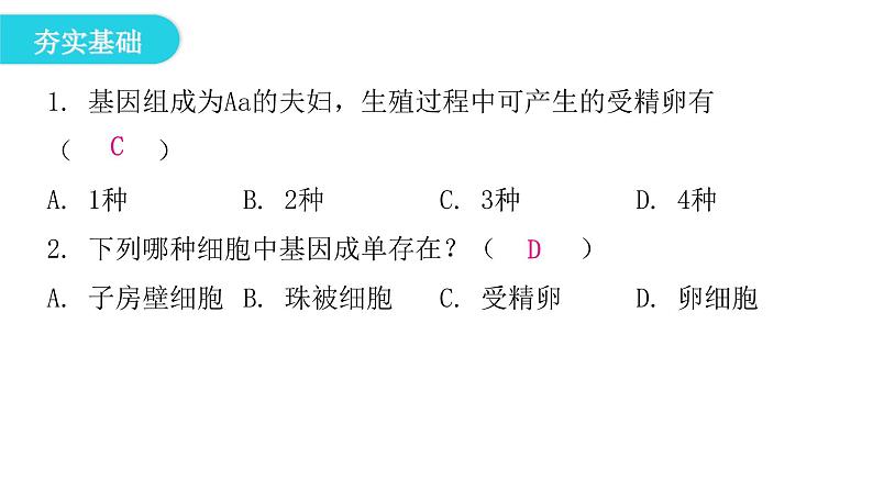 人教版八年级生物下册第二节基因在亲子代间的传递课后作业课件第4页