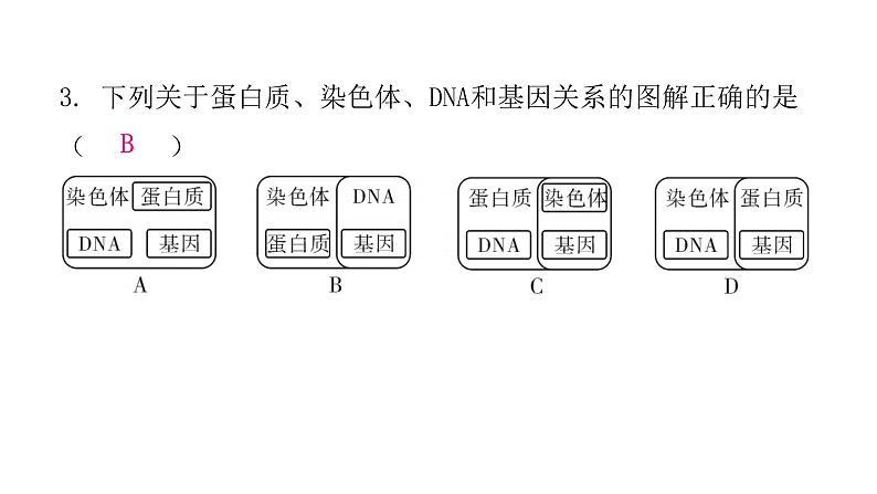 人教版八年级生物下册第二节基因在亲子代间的传递课后作业课件第5页