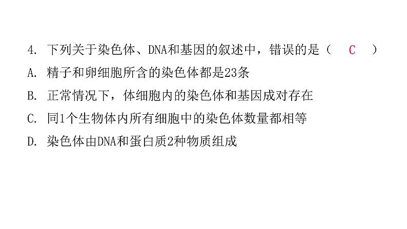 人教版八年级生物下册第二节基因在亲子代间的传递课后作业课件第6页