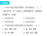人教版八年级生物下册第二节昆虫的生殖和发育课后作业课件