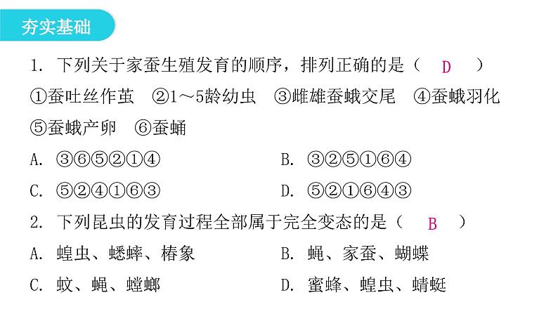 人教版八年级生物下册第二节昆虫的生殖和发育课后作业课件第4页