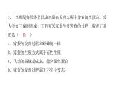 人教版八年级生物下册第二节昆虫的生殖和发育课后作业课件