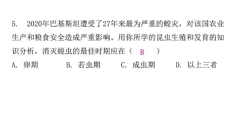 人教版八年级生物下册第二节昆虫的生殖和发育课后作业课件第7页